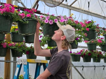 Greenhouse